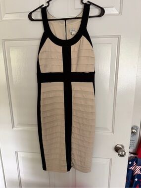 Cache Beige and Black Paneled Sleeveless Midi Dress